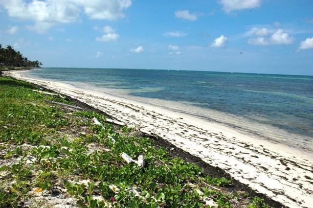 Plot with a beach for a hotel in Bavaro Punta Cana
